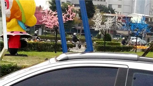 田園城市？台北市公園種「塑膠櫻花」