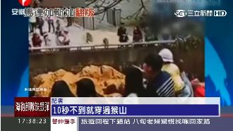 《馬達加斯加》真實版？獼猴翻牆逃亡