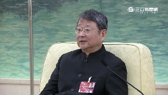 大陸兩會「台灣團」　由他們代表出席