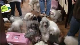 狗狗
翻臉書
https://www.facebook.com/pages/%E8%82%A5%E8%B2%93%E5%AF%B5%E7%89%A9%E7%94%A8%E5%93%81%E5%BA%97/181947158520729