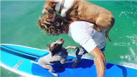 前衝浪冠軍教四隻狗狗一起衝浪
https://www.instagram.com/naturalbalancedog/