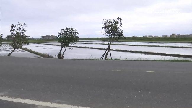 宜蘭土壤液化高潛勢區　農民：免驚啦