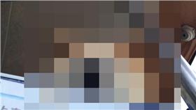 搭客運被柴犬偷看