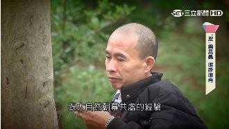 廢棄再生！藝術大師將樹皮點石成金