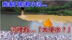 爆料公社,河川,汙染,大便,排泄物▲圖／翻攝自爆料公社臉書