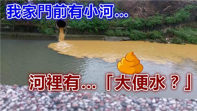 「大便水」染黃茄苳溪！網友批無政府