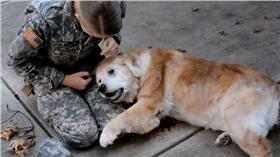 狗狗見主人回家痛哭(圖翻攝自YOUTUBE)