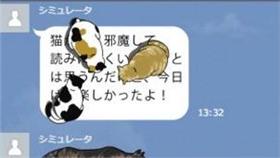 ▲日本Line,貓。（圖／翻攝自サドルとペダルTwitter）
https://twitter.com/Pedalandsaddle?ref_src=twsrc%5Etfw