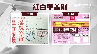 車主到場警還開白單　判違反程序免罰
