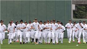 ▲圖／翻攝自読売巨人軍臉書
https://www.facebook.com/yomiurigiantsofficial/photos/a.1403181073324267.1073741827.1403167226658985/1482947205347653/?type=3&theater