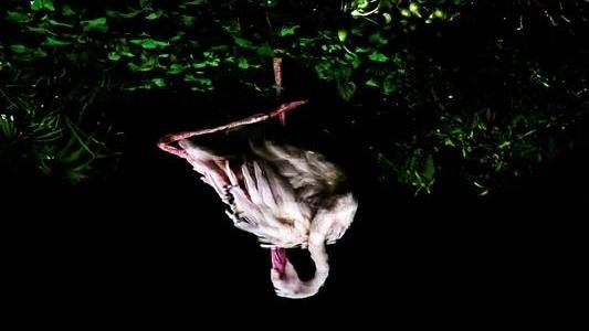 索尼世界攝影獎　王泰然獲台灣首獎