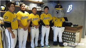 中信兄弟安全帽（圖／記者王怡翔攝）