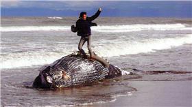 征服,鄂霍次克的四季,攝影,鯨魚,冠軍
▲圖／翻攝自朝日新聞