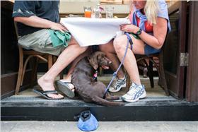 紐約市公布新法　可讓狗狗戶外用餐
http://www.nytimes.com/2016/03/16/nyregion/new-york-today-dogs-outdoor-restaurants-dining.html