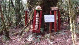 林管處、動物、雕像、宗教器物（圖／翻攝自台東林區管理處）16:9
http://taitung.forest.gov.tw/ct.asp?xItem=77875&ctNode=2323&mp=350