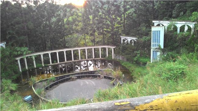 撿一束大地完美線條　山林花藝課