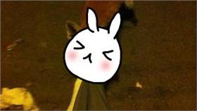 狐狸/Evening Standard