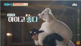 徐仁國,貴賓犬,JTBC Entertainment 官方youtube