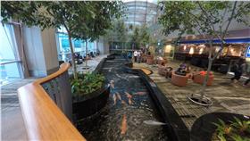 機場,Skytrax,樟宜,仁川,慕尼黑,桃園國際機場
圖／攝影者Steve Lacey, Flickr CC License
https://www.flickr.com/photos/stevelacey/23841997230/