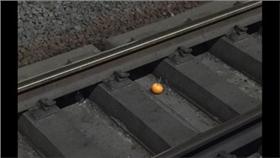 翻攝自爆廢公社