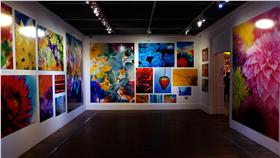 文創LIFE - 蜷川實花展