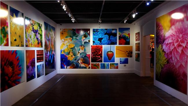 揭露蜷川實花展，獨特迷人的意象之旅