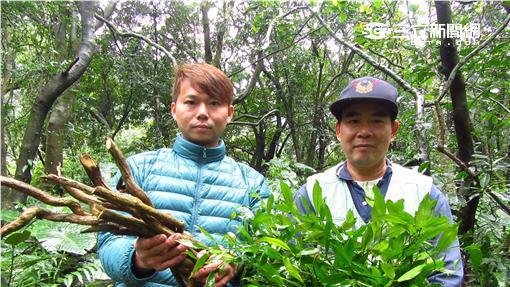 力抗流感　青草巷藏商機
