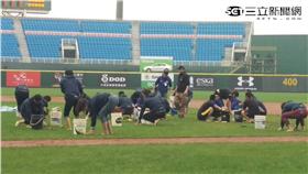 桃園球場,開幕戰,雨停,Lamigo 圖/王怡翔攝