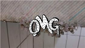 櫃子長香菇／爆料公社