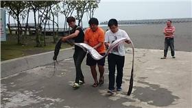 地震魚現蹤／東港好厝邊臉書