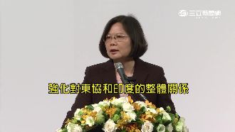 和馬英九不同！蔡英文外交重心押在這