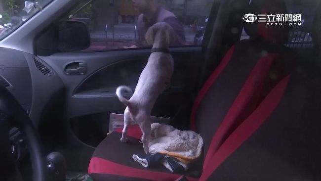 狗悶高溫車內4小時　男遭重罰1萬5