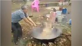 活煮拉不拉多/dailymail