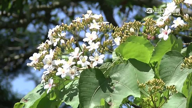 別急著收冬衣！週四濕冷下探9度低溫