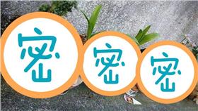 人頭、花盆／爆料公社