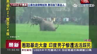 驚悚！男子惹怒大象　慘遭活活踩死