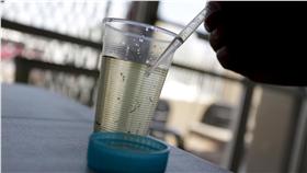 病媒蚊,茲卡病毒,台灣,韓國,巴西
圖／路透社／達志影像