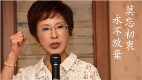 洪秀柱 （圖／翻攝自洪秀柱臉書）