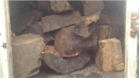 警方破獲不肖盜伐牛樟木業者（翻攝畫面）