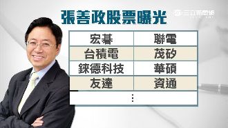 張善政財產曝光　專攻電子股、農地