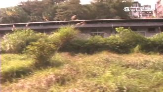 神秘安康接待室！驚見滿屋文件、屍罐