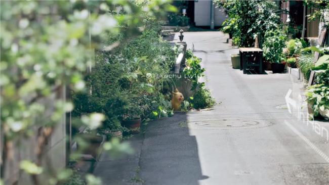 Pokémon GO　手機抓皮卡丘