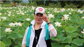 楊麗花/楊麗花粉絲團