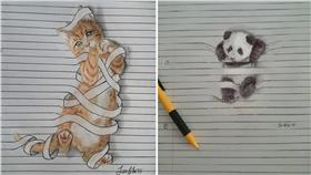 ▲貓咪被線條困住。（圖／翻攝自Iantha Naicker臉書）