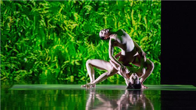 「雲門到底在跳什麼？」藝術總監妙回