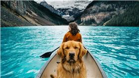 狗狗,我是圖片說明。（圖／翻攝自hunter_lawrence Instagram）
https://www.instagram.com/p/8ofoHfCiRf/?taken-by=hunter_lawrence


