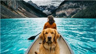 愛犬帥翻全球　攝影師主人忠實記錄