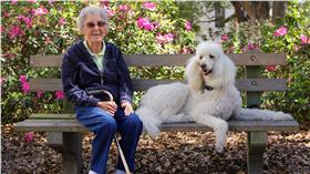 90歲罹癌老奶奶旅遊/Driving Miss Norma