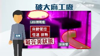 旅外藥劑師歸國　郊區蓋溫室種大麻