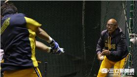 中信兄弟教練克魯茲（圖／記者王怡翔攝）